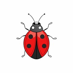 Cartoon ladybug illustration isolated on white background
