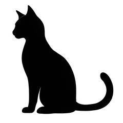 black cat on white background