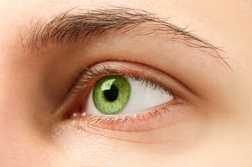 Closeup view of woman with green eyes