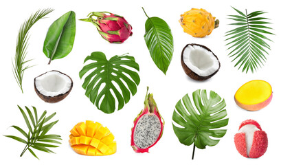 Tropical leaves and fruits isolated on white, set
