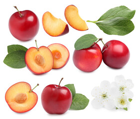 Yummy ripe plums, blossoms and green leaves on white background, collage