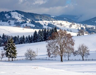 Obraz premium winter landscape with trees in the foreground and hills covered by snow