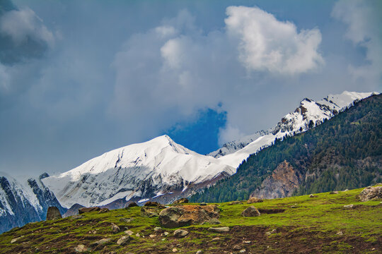 Snow-Capped Himalayan Mountain Peak Viewed from Sonamarg, Kashmir with Rocky Alpine Meadow and Group of Pine Trees