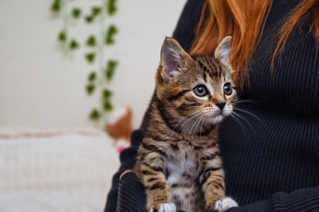 Child holding and caring for pet kitten at home