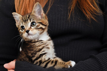 Child holding and caring for pet kitten at home