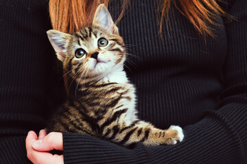 Child holding and caring for pet kitten at home