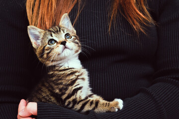 Child holding and caring for pet kitten at home