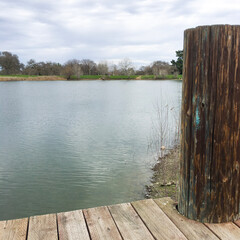 wooden pier on the lake