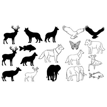Wildlife animal vector silhouette collection featuring deer wolf eagle elephant butterfly and fish design set