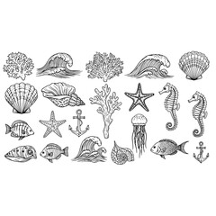 Seashells seahorse starfish anchor ocean waves coral fish jellyfish nautical marine life line art drawing