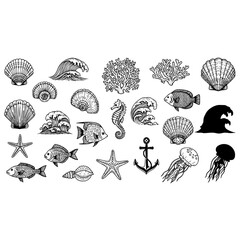 Ocean life sea creatures marine animals underwater world nautical elements vector illustration drawing design