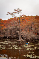 kayaker in the swamp