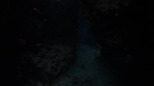 Exploring Underwater Caves in Scuba Diving in Egypt