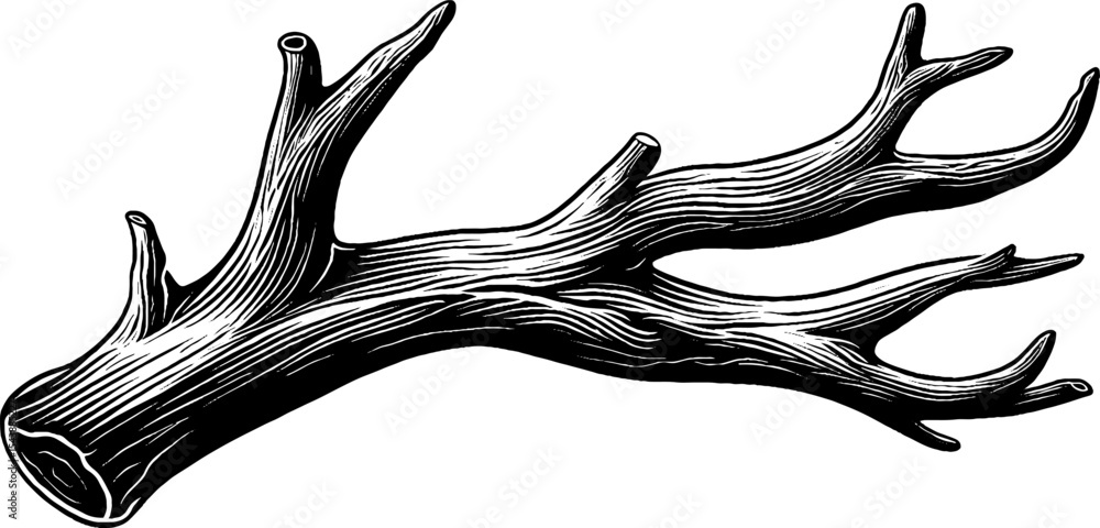 Poster Rustic design element: bare branch with curled tips and abstract wind lines