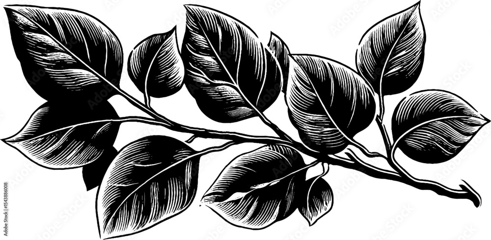 Aufkleber elegant branch with falling leaves and curved structure for nature design
