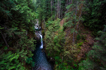 Fototapeta premium Lynn Creek in Lynn Canyon Park, North Vancouver, British Columbia, Canada.