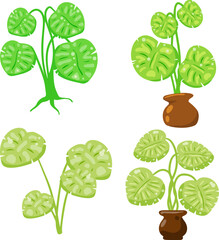 Green indoor plants in colorful pots. Flat cartoon vector illustration.