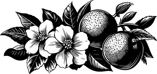 Elegant floral and fruit illustration for nature inspired designs