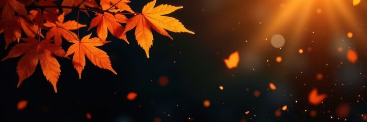 Fototapeta premium Crisp orange autumn leaves, black backdrop, golden light sparkles , image, wallpaper