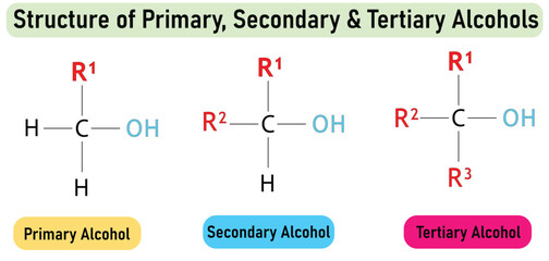 Classification of alcohols. Primary, secondary, tertiary alcohol structure diagram. organic compound molecule scientific illustration on white background.