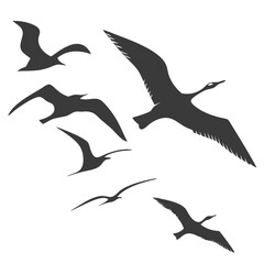 Fototapeta premium set of silhouettes of birds