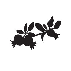 Pomgranate vector illustration design