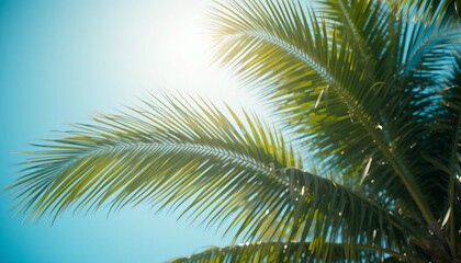 Fototapeta premium Tropical palm fronds against a vibrant blue sky, sunlight shining through leaves