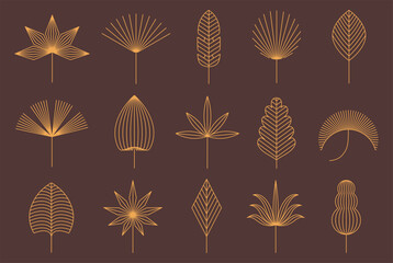 Linear floral boho leaf. Tropical leaves, geometric botanical decor, elegant floral outlines bohemian minimalist line art vector shapes set with editable stroke path.