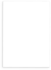 A blank white canvas, potentially for drawing or writing.