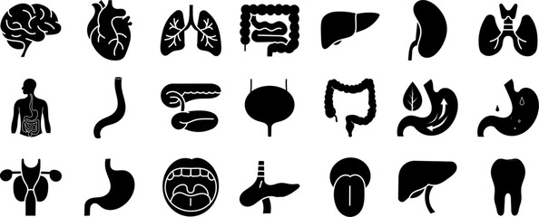 Human Organs Solid Icon Set. Featuring Brain, Heart, Lungs, Stomach, Liver, and More. Editable Filled Symbol Collection.