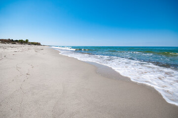 Sand dunes landscape in summer at the Baltic sea