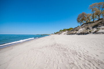 Sand dunes landscape in summer at the Baltic sea