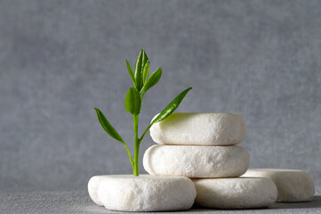 Green sprout on a heap of white stones on a gray background. Conceptual still life.