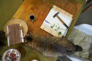 Top view of a creative botanical printing workspace on a rustic wooden table. A white sheet of...