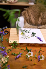 Top view of a botanical printing setup on a rustic wooden table. A white sheet of paper is laid out...