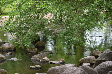 japanese garden with stone