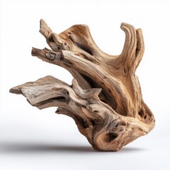 Intricate, light-brown driftwood sculpture with swirling, gnarled branches and a textured, hollowed base, isolated on white