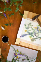 Creative DIY project with summer wildflowers: floral imprint technique using hammer on paper, top view of botanical art process on rustic wooden table