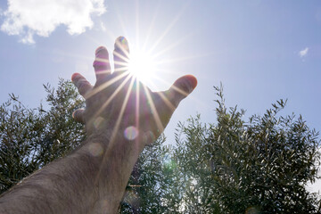 Outstretched hand under intense sun symbolizing drought in agricult