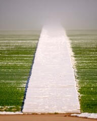 Frozen Field with Narrow Path Disappearing into Fog