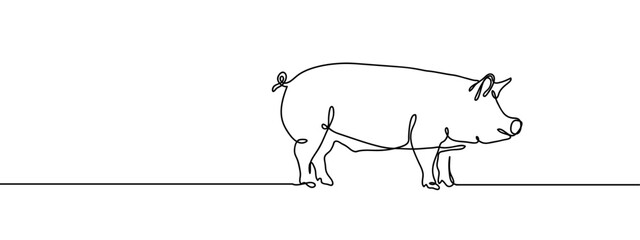 Continuous line, pig, pig farming industry Simple art lines on transparent background, editable strokes.