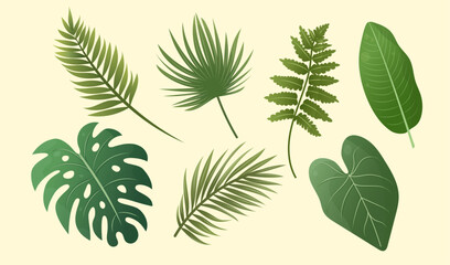 Cartoon set of green tropical leaves including monstera, palm, fern and philodendron. Vector illustration. Botanical collection for summer projects, textile prints, wallpaper. © Nadiia
