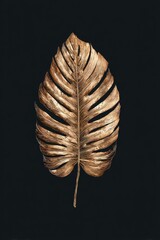 Obraz premium Single bronze-hued tropical leaf, meticulously detailed, isolated against a deep black background