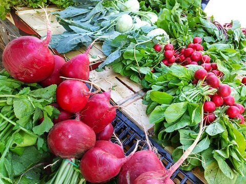 Freshly harvested radishes (Raphanus sativus) and turnip cabbages for sale at farmers market in Merano, South Tyrol, Italy. Organic, agricultural fresh produce at display on market stall.