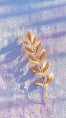 Golden Branch on Textured White and Blue Background