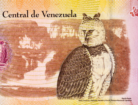 2000 Venezuelan Bolivars Banknote with the image of Aguila Arpia. Venezuelan money.