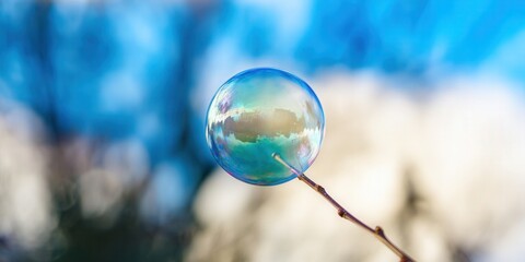 A vibrant soap bubble reflects the sky while held by a delicate twig.