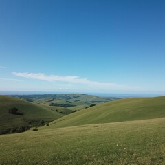 green field and blue sky