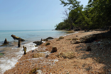 rocks on the beach
