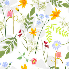 Meadow herbarium. Seamless floral pattern on a white background.